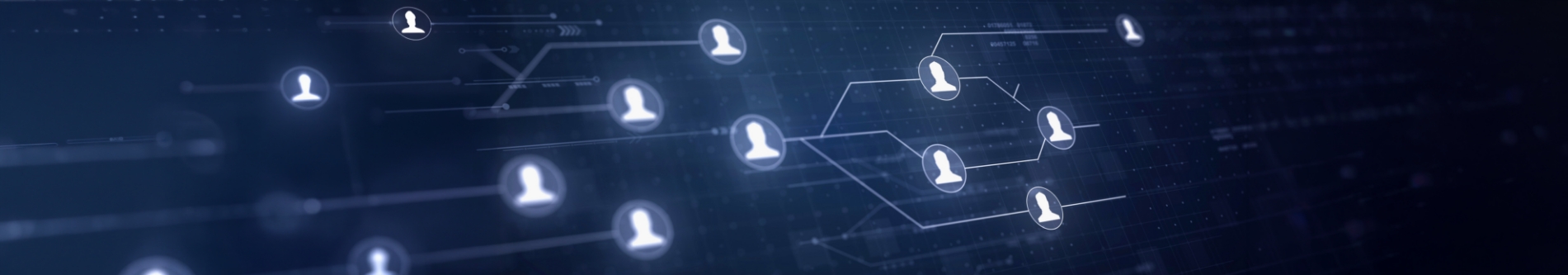 Organizational Structure